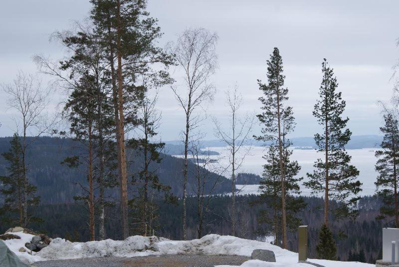 Riihivuoren Lomakylae Muurame 部屋 写真